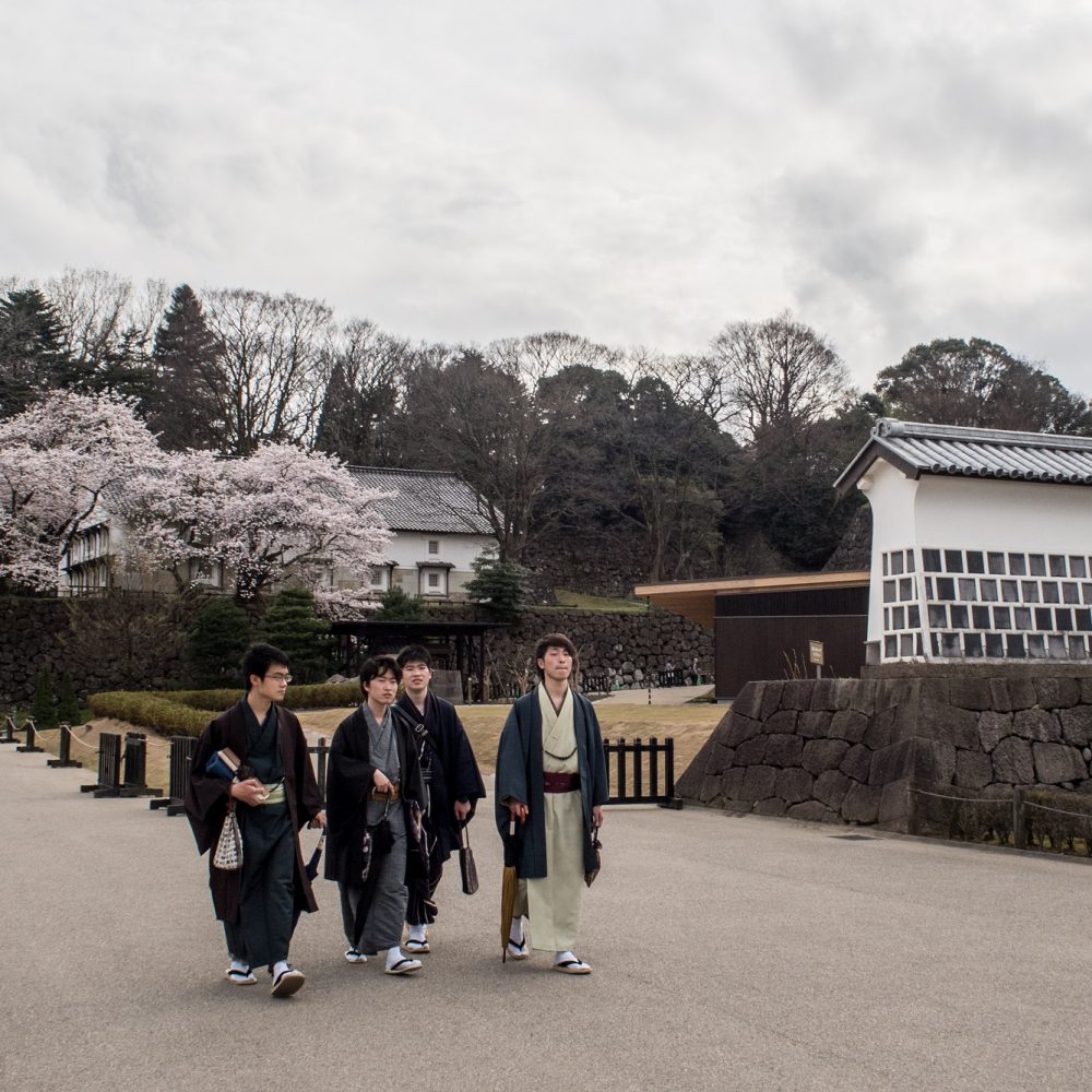Sakura viewing