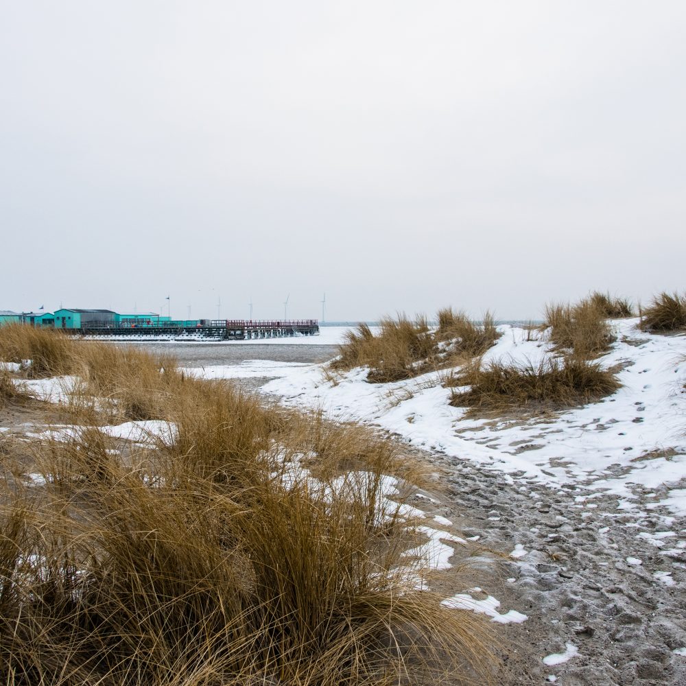 Amager Strand in winter