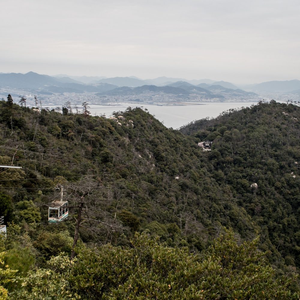 The ropeway