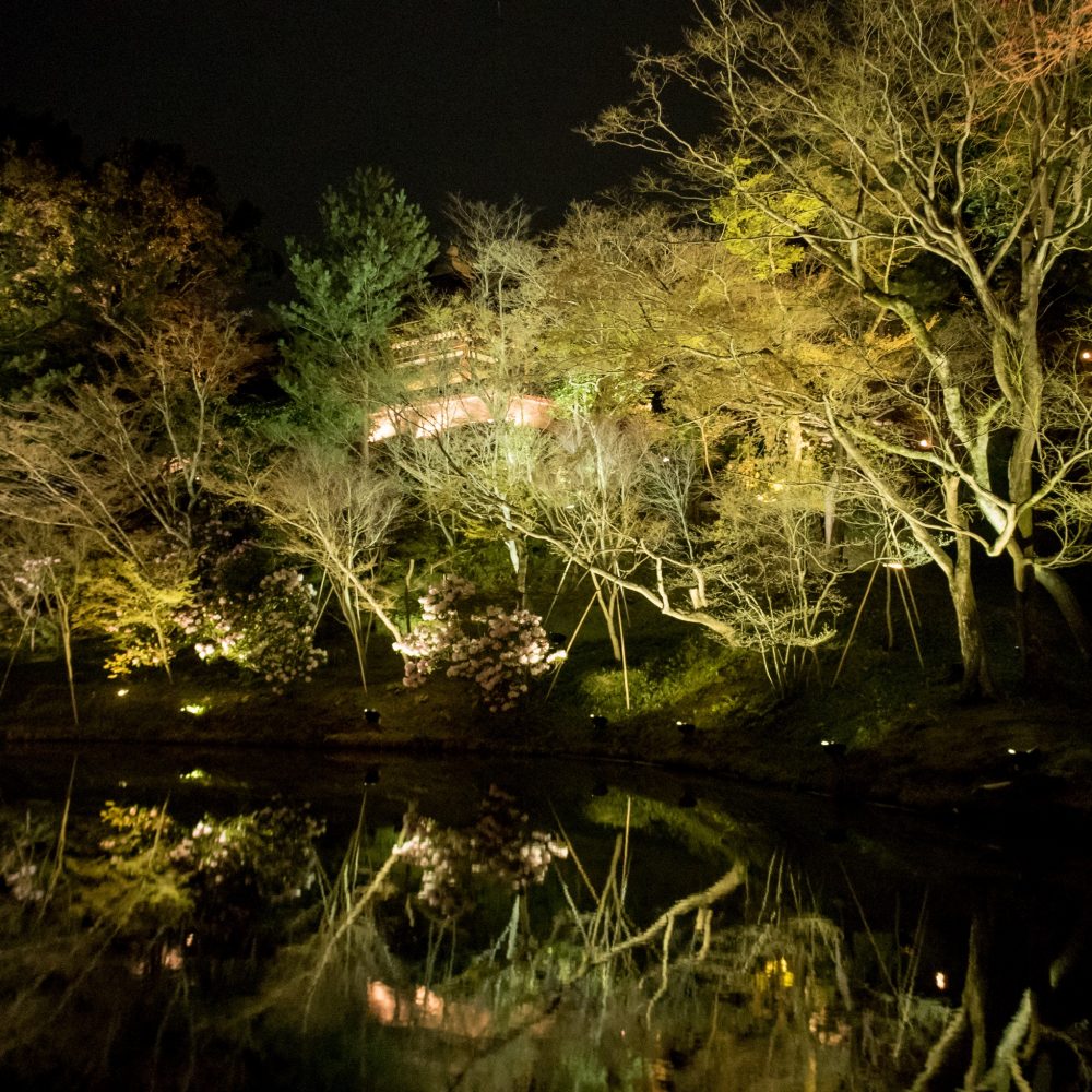 One of the gardens