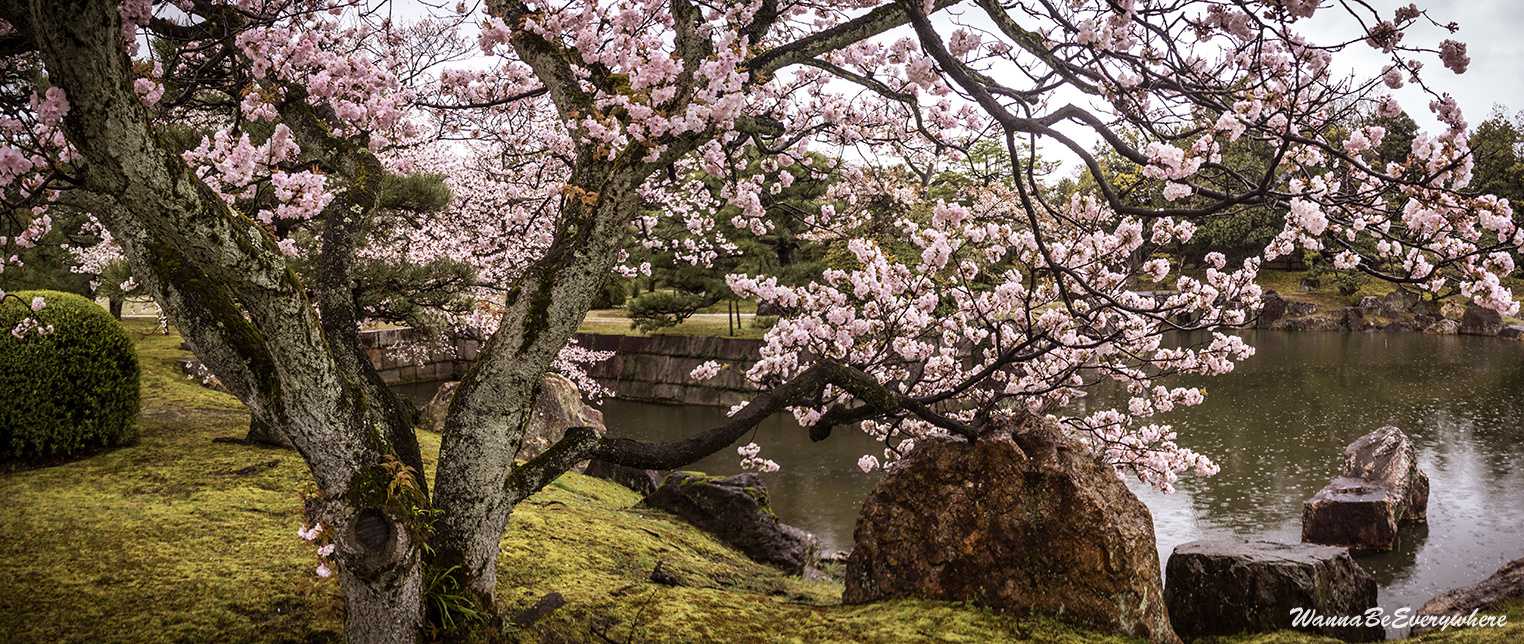 Nijo castle