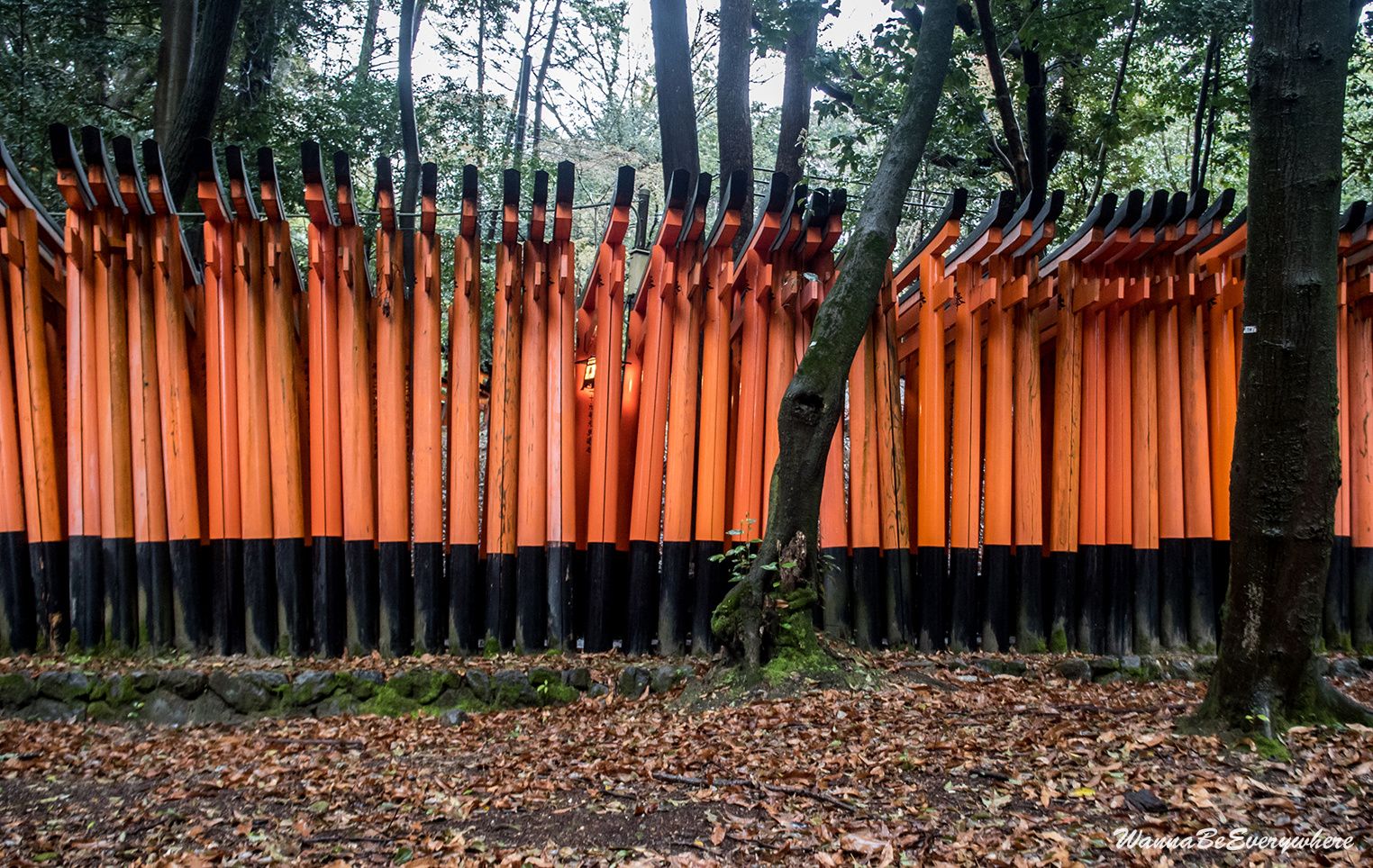 Fushimi Inari Taisha Shrine