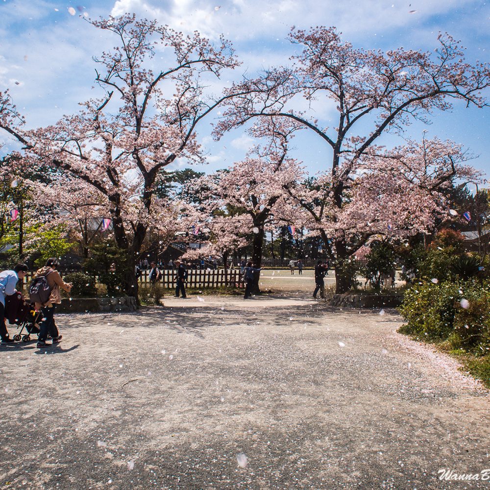 Odawara castle