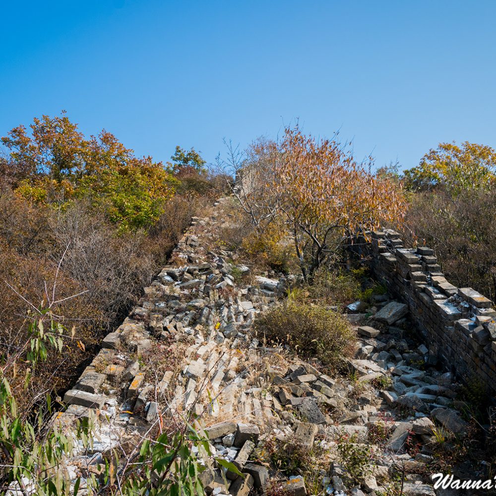 The Great Wall