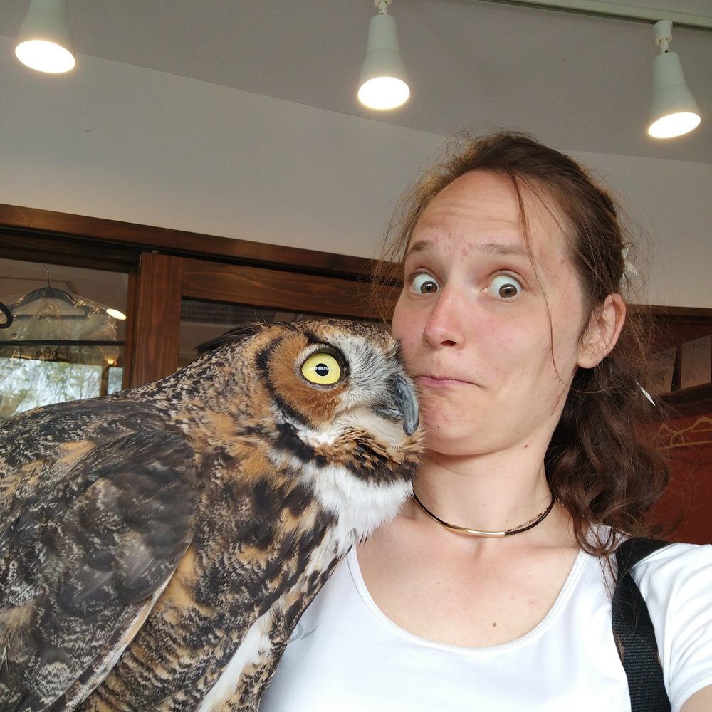 Owl cafe