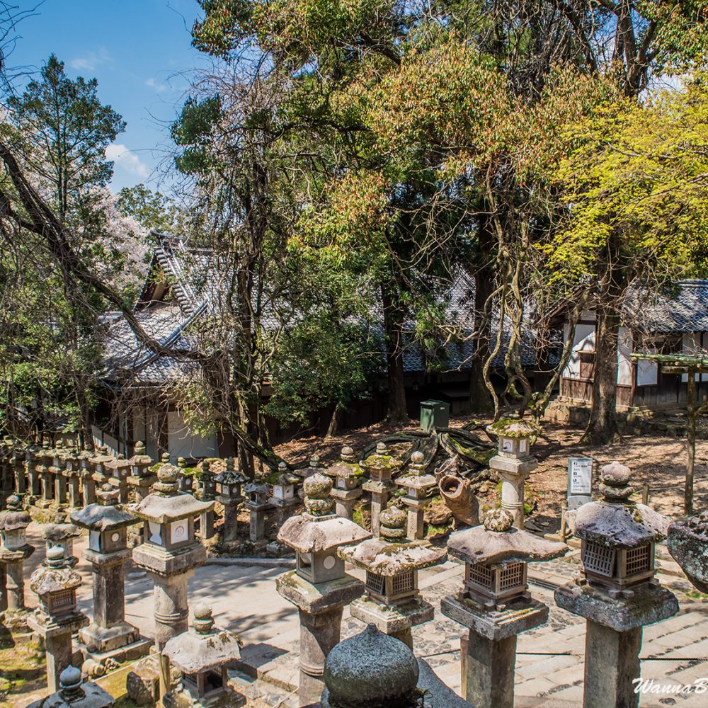 Kasuga-Taisha