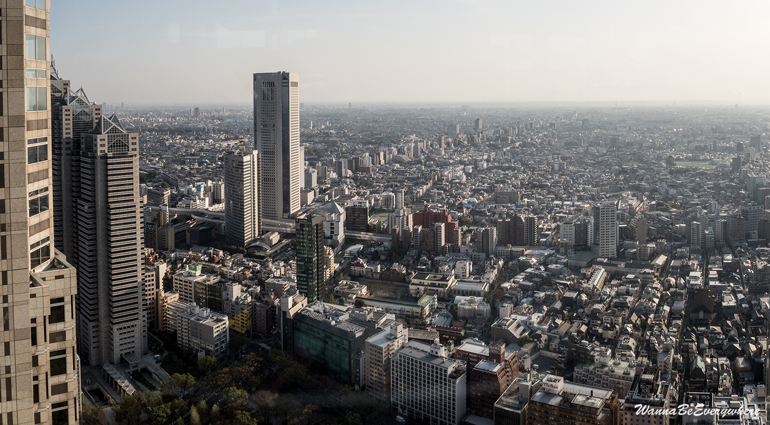 Tokyo Metropolitan Government Building