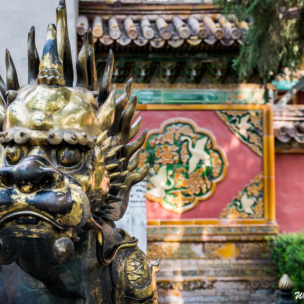 The Forbidden City