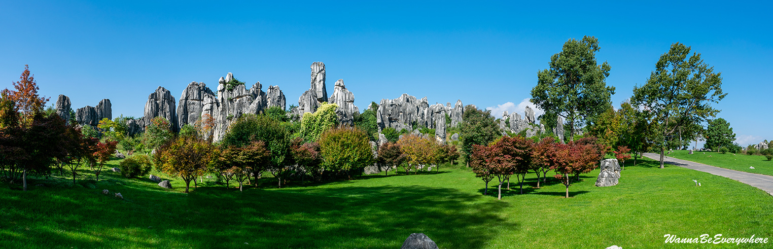Stone Forest