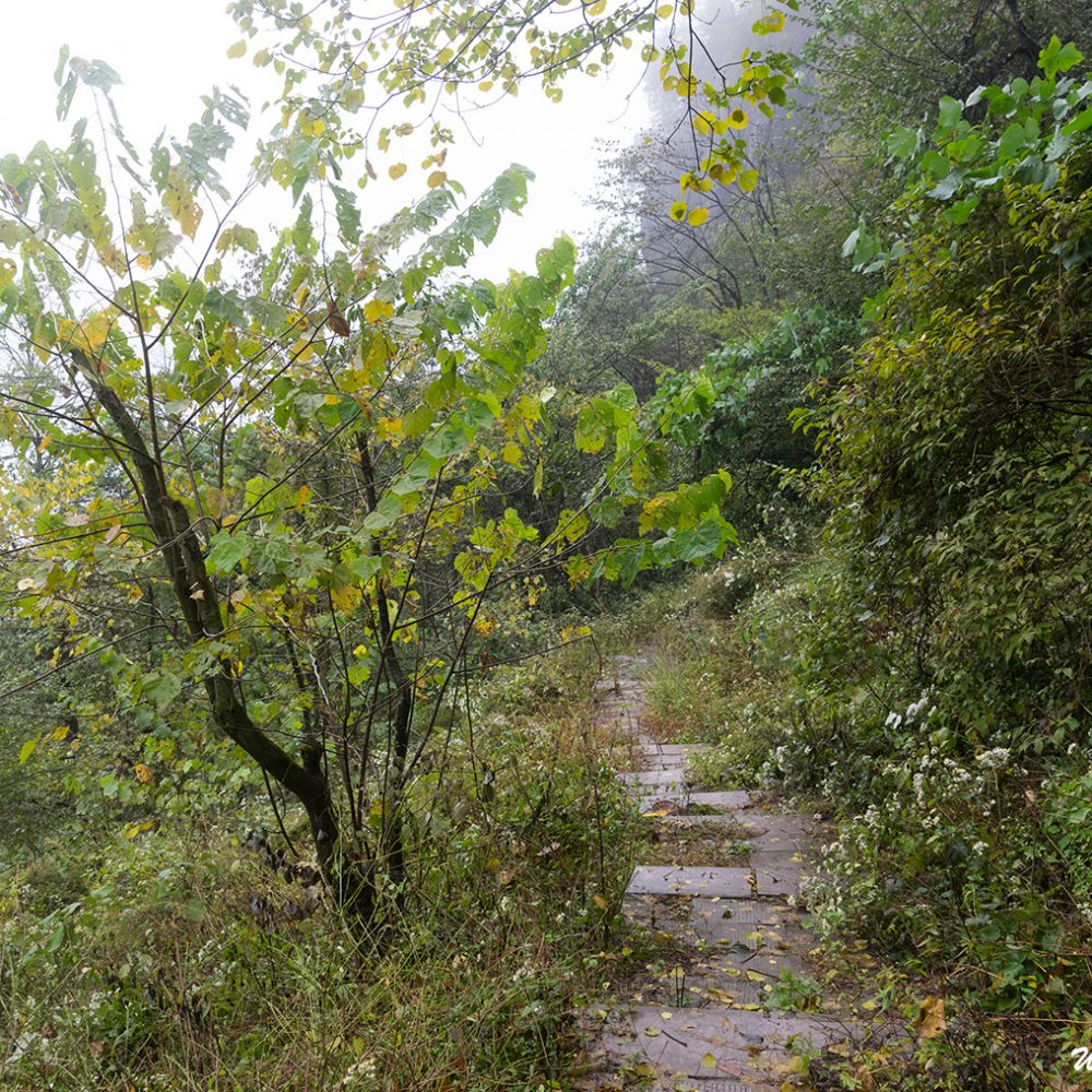 Hiking trail