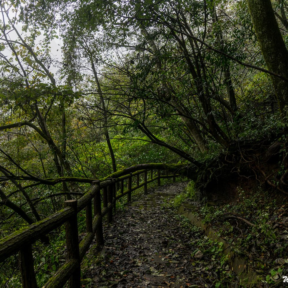 Hiking trail