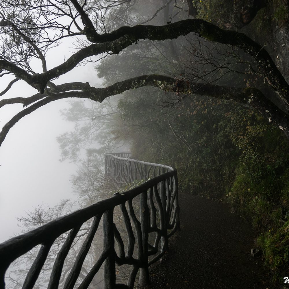 The Cliff-Hanging Walkway