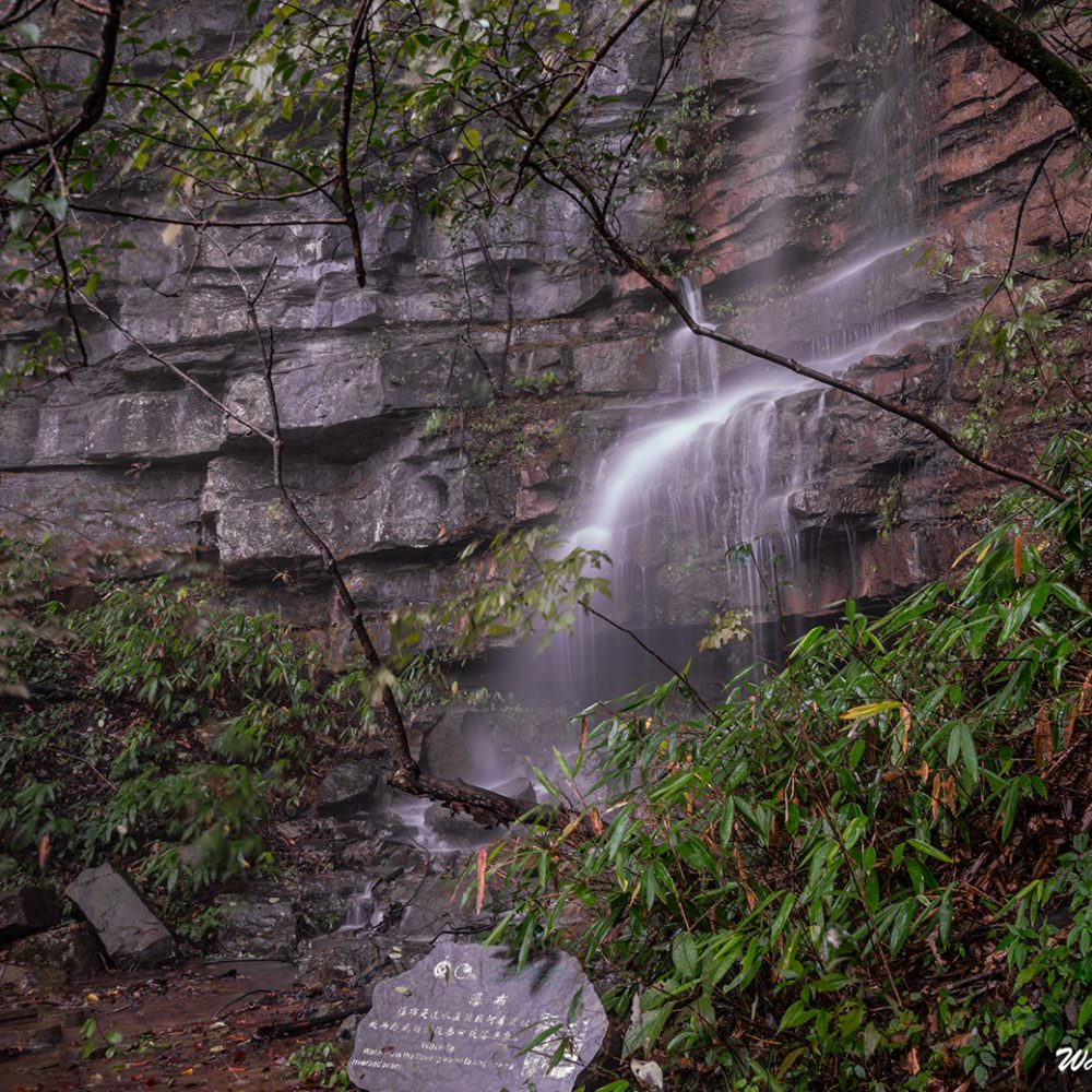 Hiking trail