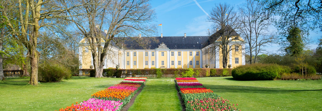 Denmarks largest Tulip Festival