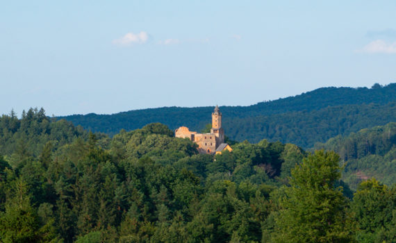 Grodno Castle